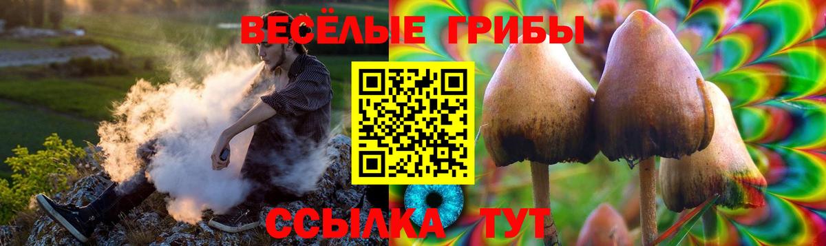 Зеленодольск  Галлюциногенные грибы мухоморы  Вход с VPN 